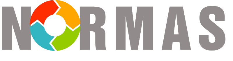 Normas Consultoria